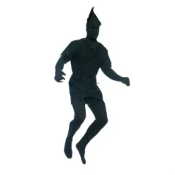 Charades Storybook & Fairytale Shadow (Peter Pan)