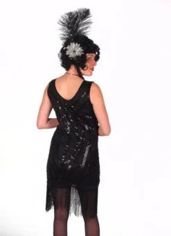 Western Fashion Decades Flapper Dress With Sequins And Fringe