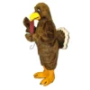 Costumes, Etc... Turkey Mascot