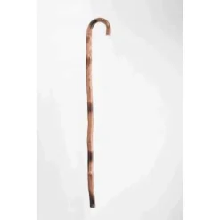 Eddies Trick Shop Cane Bamboo 1920s Canes & Staffs