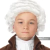 California Costumes Colonial Man White Wig Grey & White