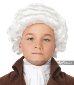 California Costumes Colonial Man White Wig Grey & White