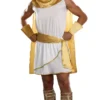 Dreamgirl Greek Toga Plus Greek & Roman, Egyptian, Barbarian