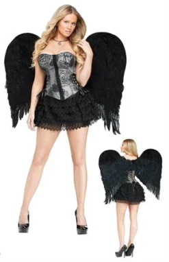Fun World Wings Feather Angel Black 28"