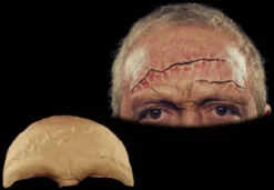 Stage Frights Prosthetics Stitched Forehead Prosthetic