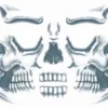 Tinsley Transfers Tattoos & Tattoo Effects Skull Face 2 Tinsley Transfers Tattoos & Tattoo Effects Skull Face