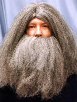 Alicia International Wizard Wig And Beard Set Grey & White