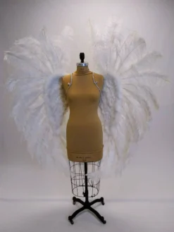 Boa Novelty Feather Angel Wings In Black, White, Or Red