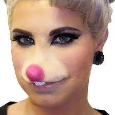 Prosthetics Woochie Mouse Nose