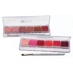 Ben Nye Lip Color Palette 6