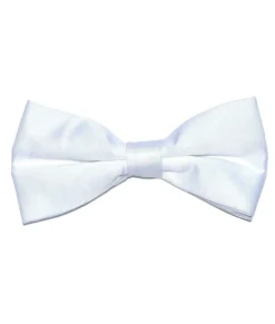 Brand Q, Inc Bowtie Satin In 3 Colors Men's Formalwear Accessories