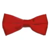 Brand Q, Inc Bowtie Satin In 3 Colors Men's Formalwear Accessories
