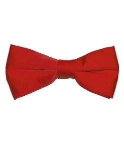 Brand Q, Inc Bowtie Satin In 3 Colors Men's Formalwear Accessories