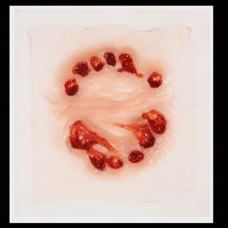 Tinsley Transfers Prosthetics Big Bite 4 Tinsley Transfers Prosthetics Big Bite