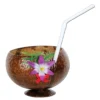 Funny Fashions Coconut Cup