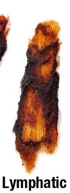 Premiere Products Inc. Fleet Street Blood Paste 6 Premiere Products Inc. Fleet Street Blood Paste