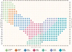 Body Wrappers Hosiery & Lingerie A80 Value Supplex-Spandex Tights In 7 Shades